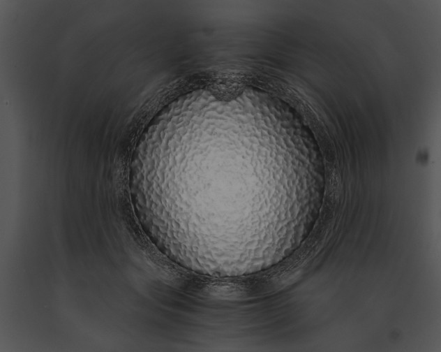 X0000091180557200708301218