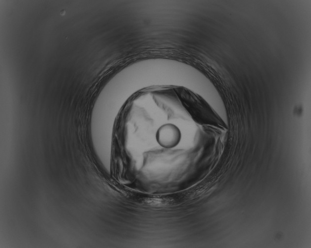 X0000091180558200708301218