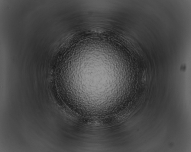 X0000091180559200708301218