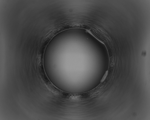 X0000091180560200708301218