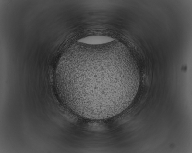 X0000091180561200708301218