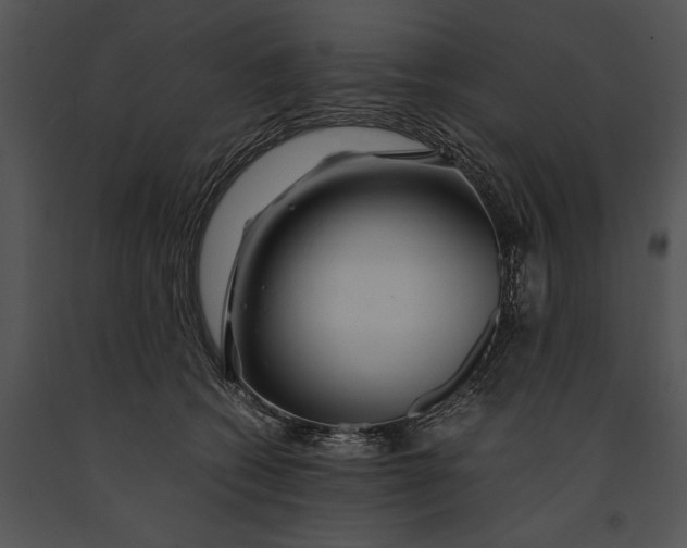 X0000091180562200708301218