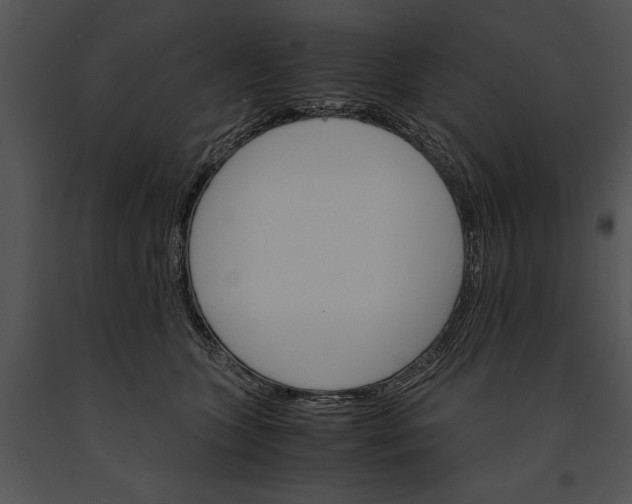 X0000091180563200708301218