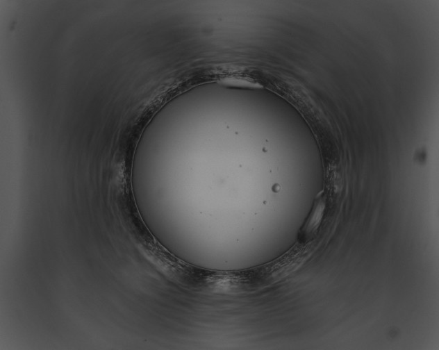 X0000091180564200708301218