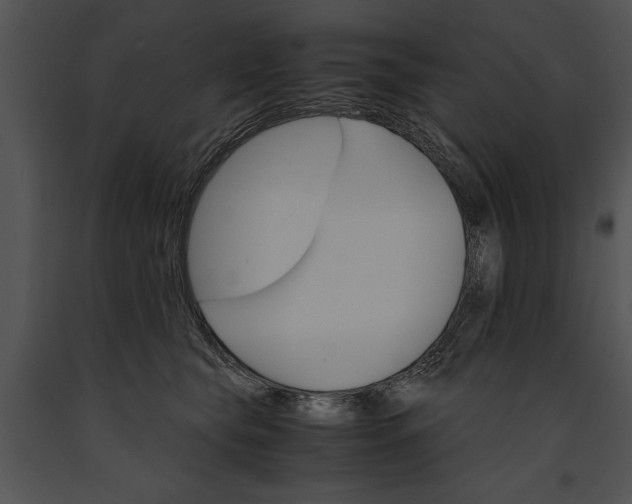 X0000091180565200708301218