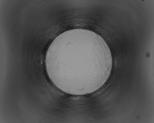 X0000091180567200708301218