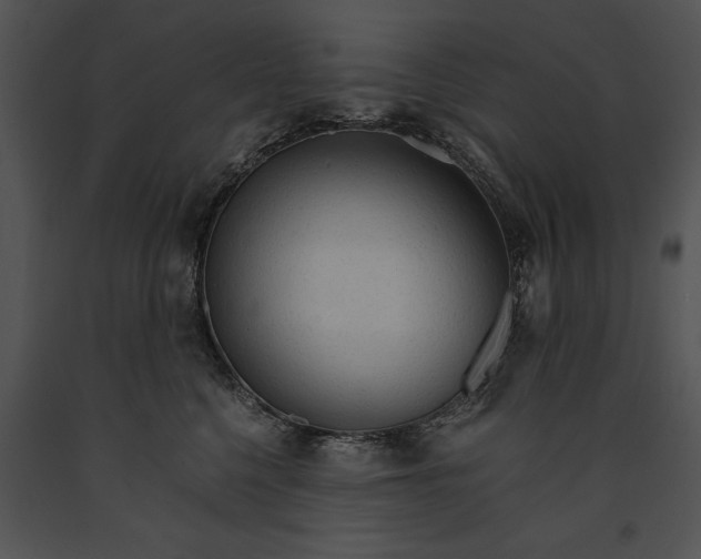 X0000091180568200708301219