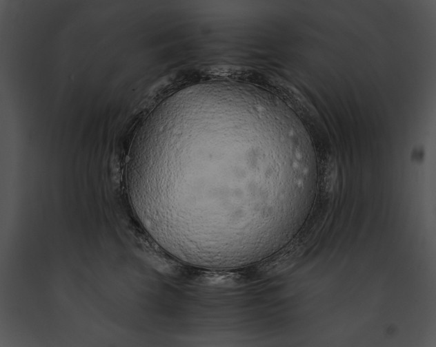 X0000091180569200708301219