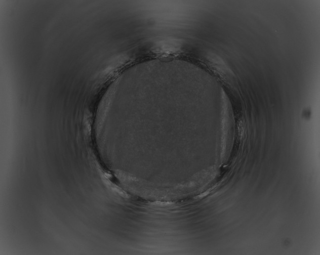 X0000091180570200708301219