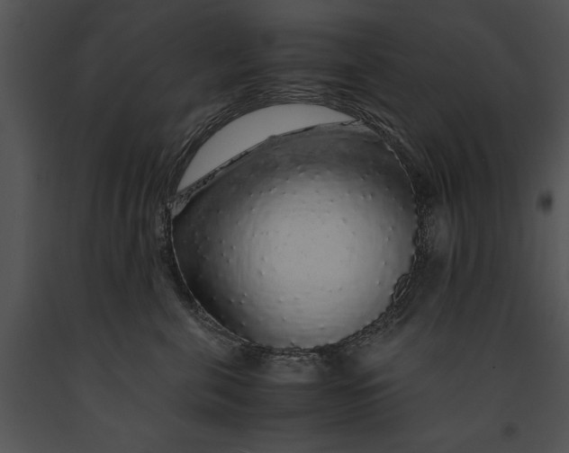 X0000091180571200708301219