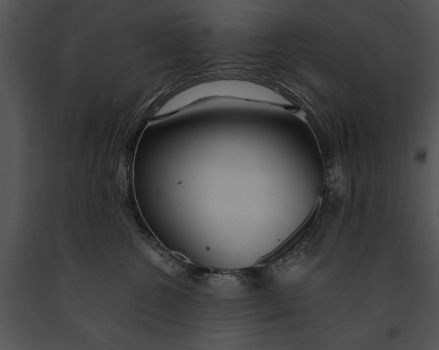 X0000091180572200708301219
