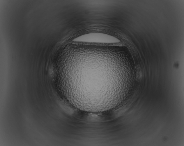 X0000091180573200708301219