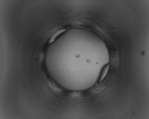 X0000091180574200708301219