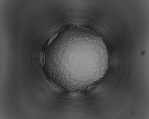 X0000091180575200708301219