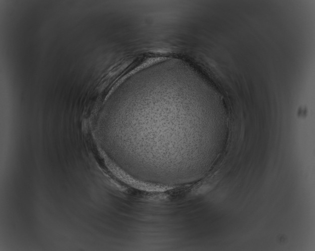 X0000091180576200708301219