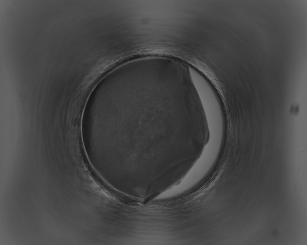 X0000091180577200708301218