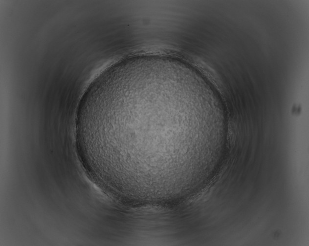 X0000091180578200708301218