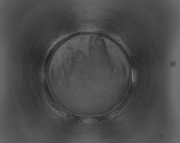 X0000091180579200708301218