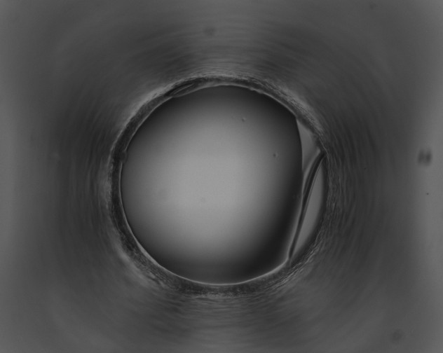 X0000091180580200708301218