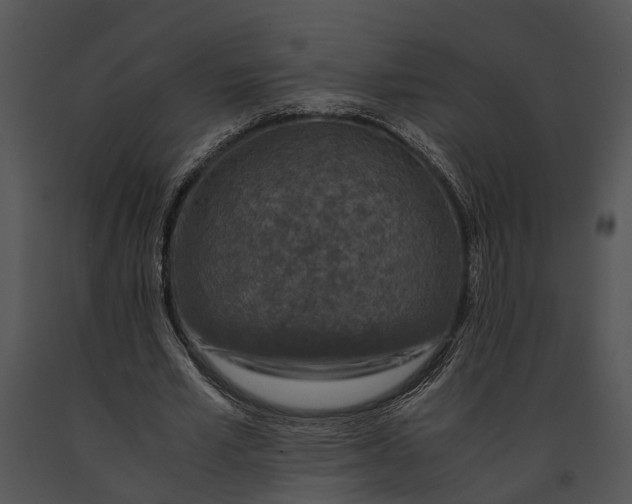 X0000091180581200708301218
