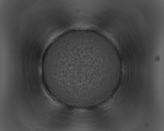 X0000091180582200708301218