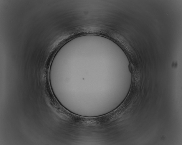 X0000091180583200708301218