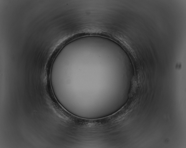X0000091180584200708301218