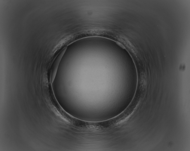 X0000091180585200708301218