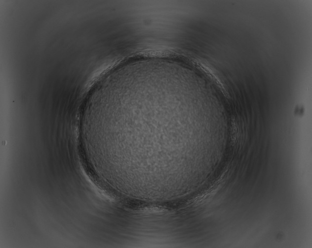 X0000091180586200708301218