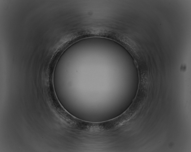 X0000091180587200708301218