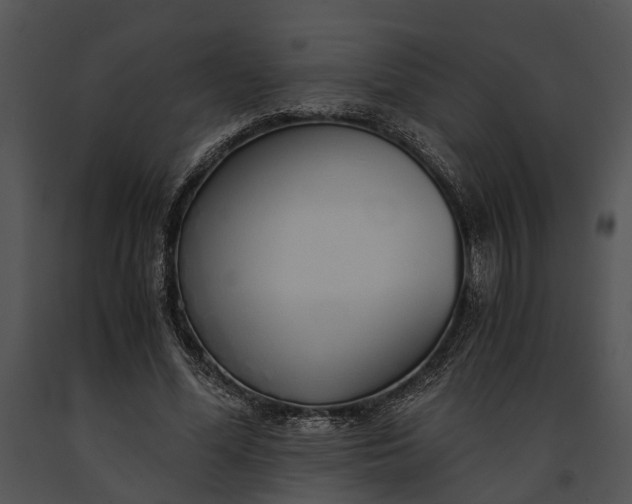 X0000091180588200708301218