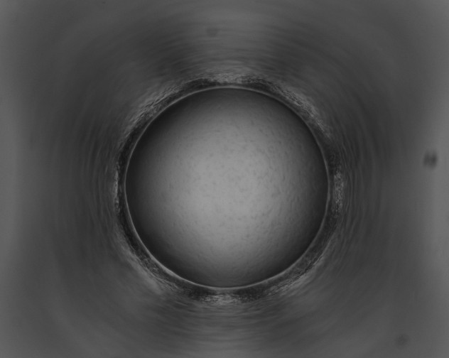 X0000091180589200708301218