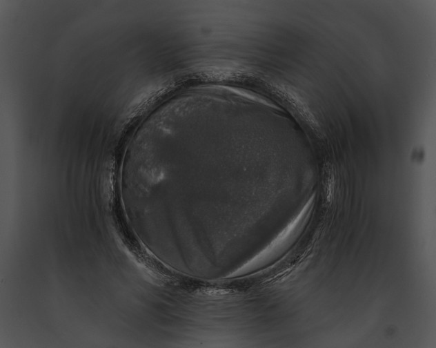 X0000091180590200708301218