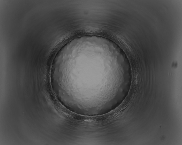 X0000091180591200708301218