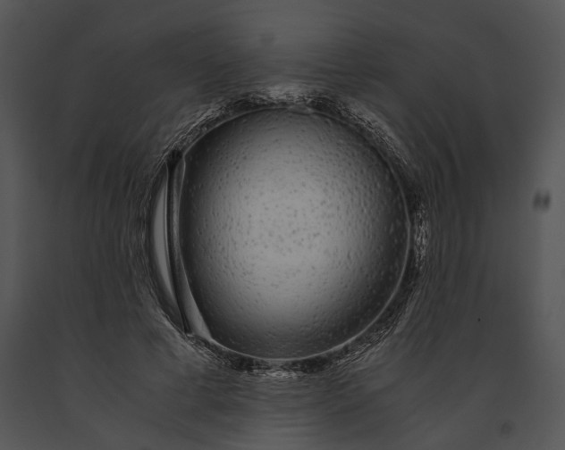 X0000091180593200708301218