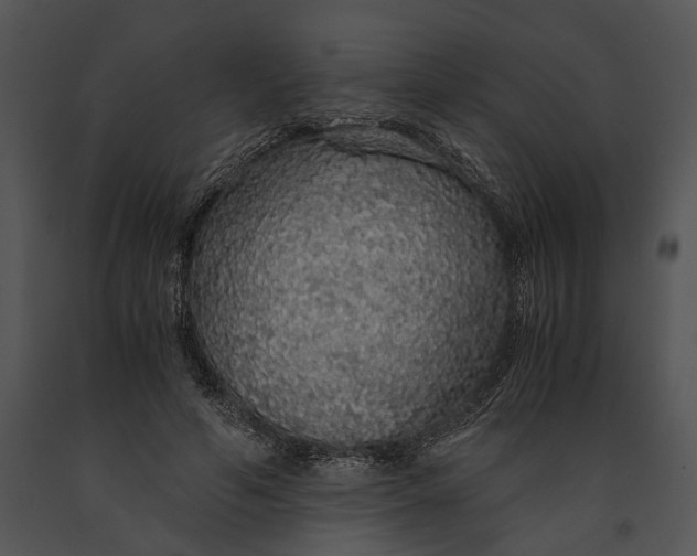 X0000091180594200708301218