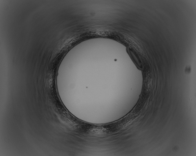 X0000091180595200708301218