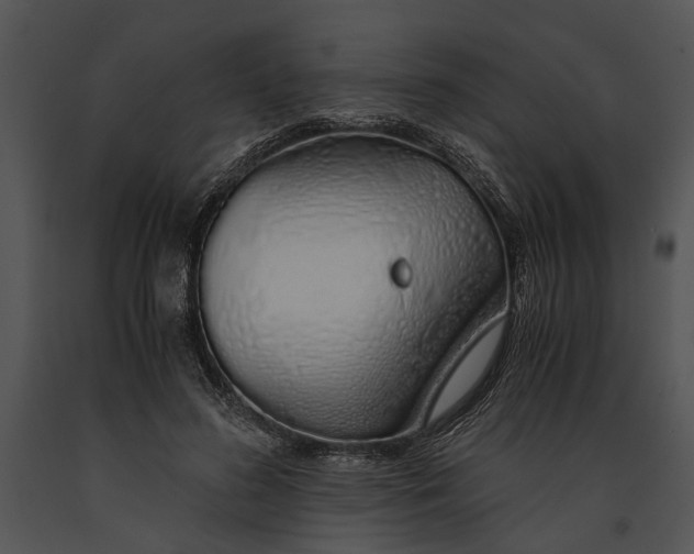 X0000091180596200708301218