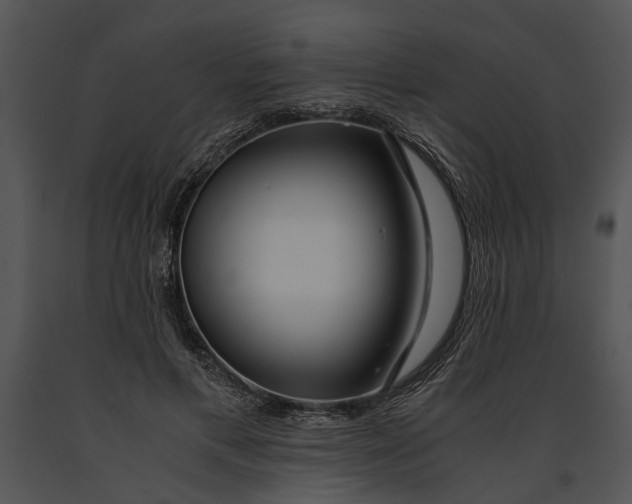 X0000091180597200708301218