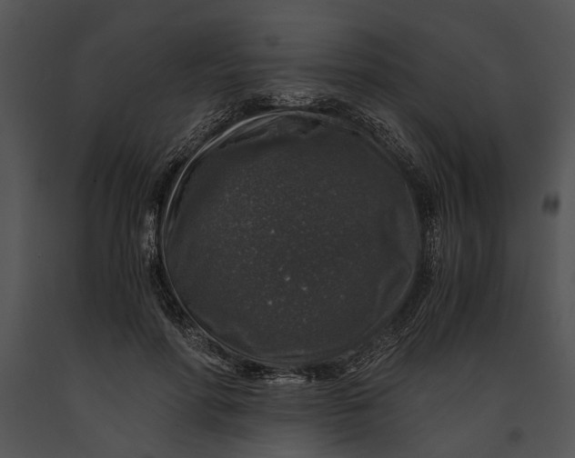 X0000091180598200708301218