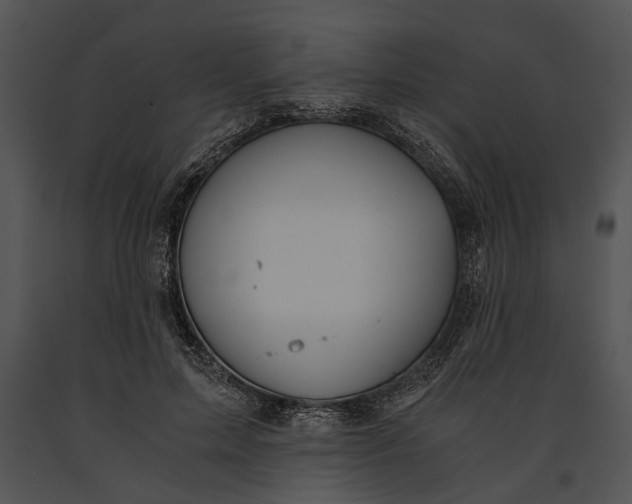 X0000091180599200708301218