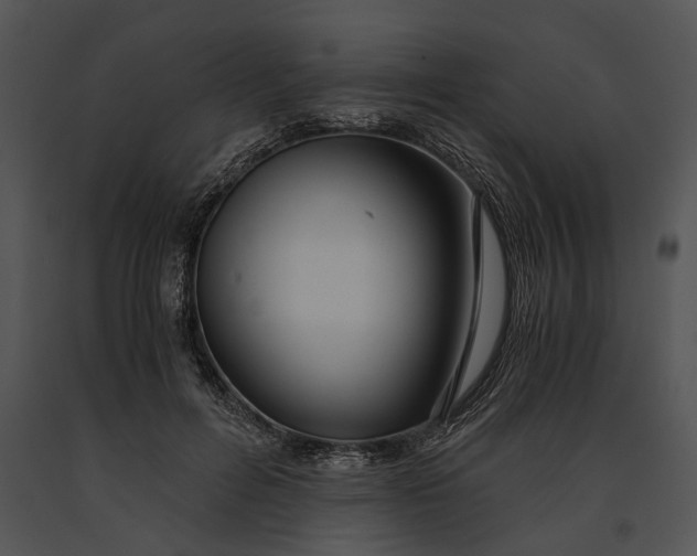 X0000091180600200708301218