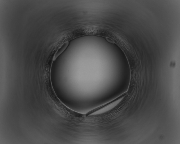X0000091180601200708301218