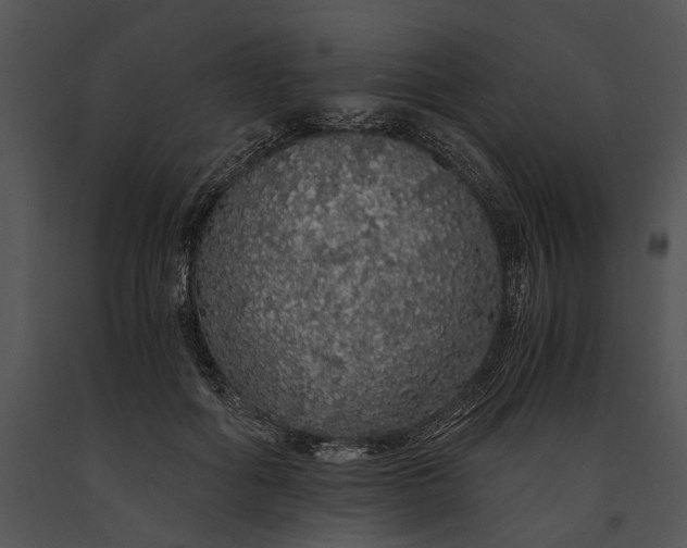 X0000091180602200708301218