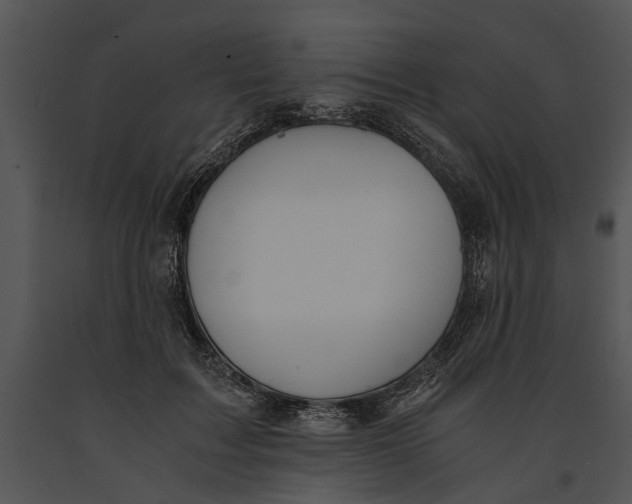 X0000091180603200708301218