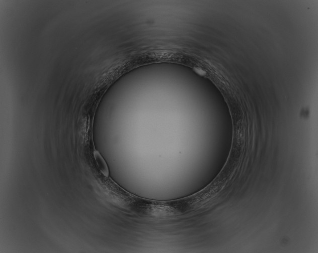 X0000091180605200708301218