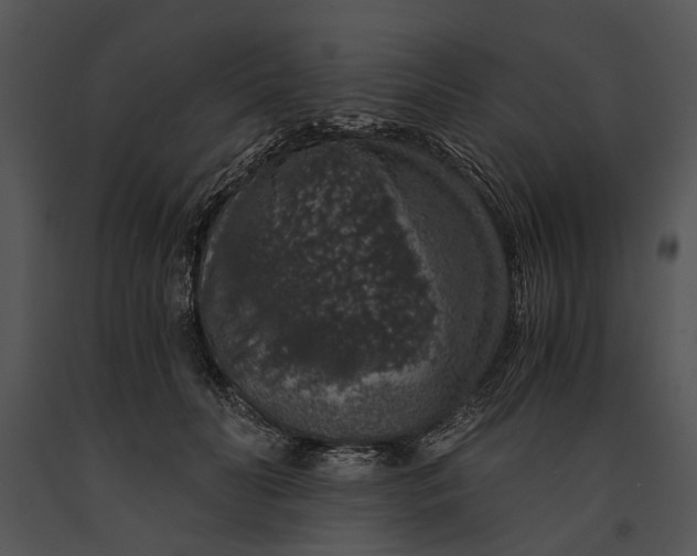 X0000091180606200708301218