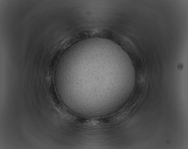 X0000091180607200708301218