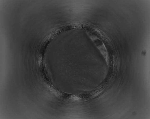 X0000091180610200708301218