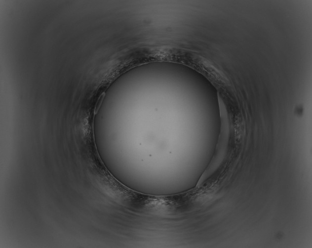 X0000091180611200708301218